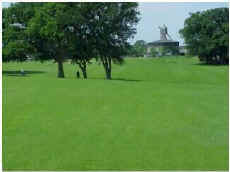 Le Golf d'Angers