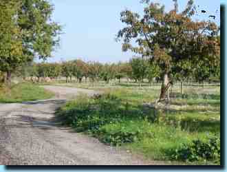 Beautiful back road in the Luberon