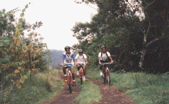 Le Vélo de Tourisme Tranquille à La Réunion - Cliquez pour agrandir